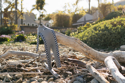 The Check - Youth Wetsuit